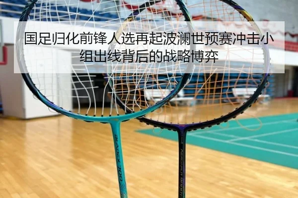 国足归化前锋人选再起波澜世预赛冲击小组出线背后的战略博弈